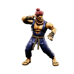 Bandai Tamashii : SHFiguarts - Street Fighter - Akuma