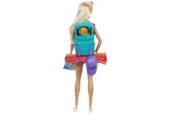 MATTEL Barbie It Takes Two Malibu Camping Doll With Puppy -Little Things Toys HDF73 000 003