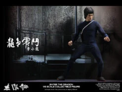 BRUCE LEE DX041/6 Scale Action Figure By Hot Toys 11 BRUCE LEE DX041/6 Scale Action Figure By Hot Toys -Little Things Toys HK 173627 000 005