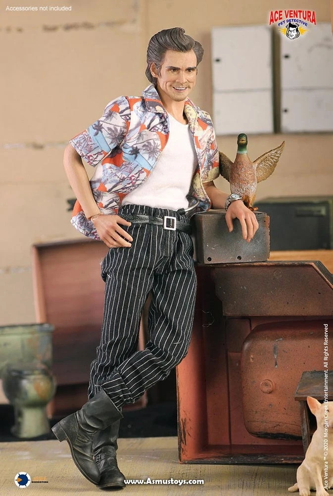 Ace Ventura: Pet Detective Ace Ventura 1/6 Scale Action Figure By ASMUS TOYS 5 Ace Ventura: Pet Detective Ace Ventura 1/6 Scale Action Figure By ASMUS TOYS - Image 5