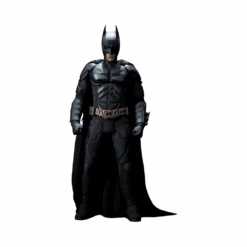 Hot Toys Batman The Dark Knight DX02 - Rare Finds -