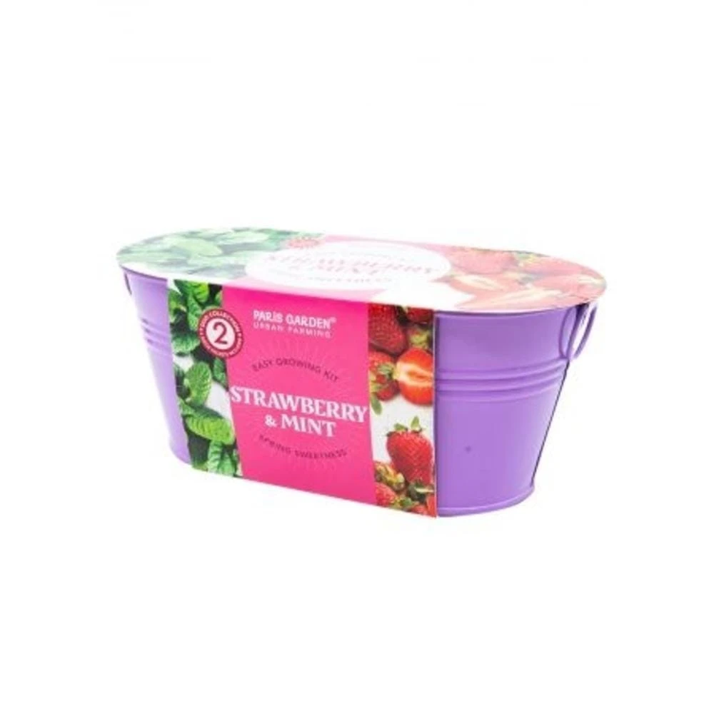 Paris Garden Mini Zinc Collection Strawberry/Mint 1 Paris Garden Mini Zinc Collection Strawberry/Mint