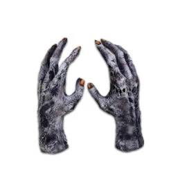 Chiller Zombie Hand Gloves By Trick Or Treat Studios